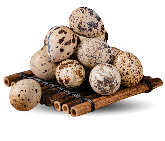 Quy trình sản xuất